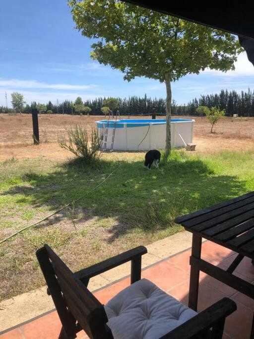 La Cabaña de Doñana El Rocío Exterior foto